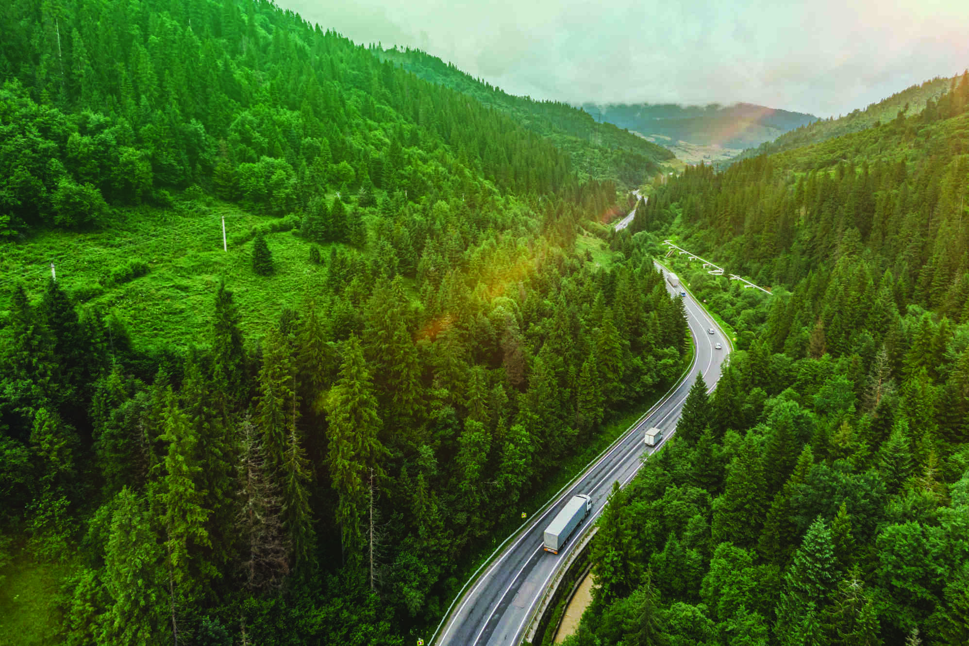 Control al calității 100%